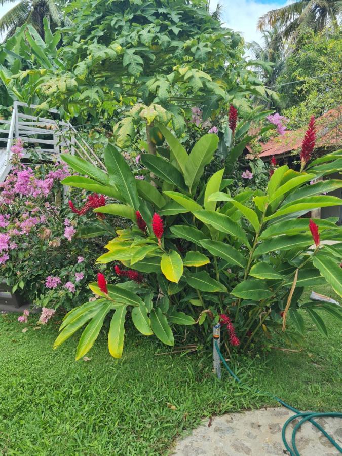 Villa Sonrisa Casa De Huespedes 拉斯特拉纳斯 外观 照片