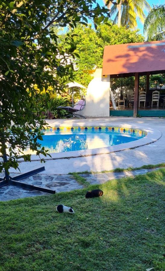 Villa Sonrisa Casa De Huespedes 拉斯特拉纳斯 外观 照片